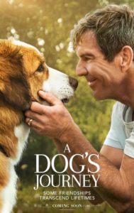 A Dog's Journey 2019 DVD