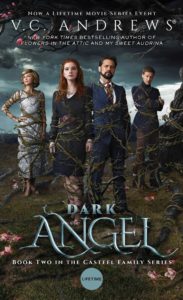 Dark Angel 2019 DVD