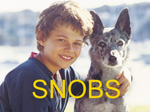 Snobs (2003) DVD
