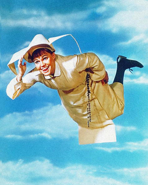 The Flying Nun with Sally Field Seasons 1, 2 and 3 – iOffer Movies