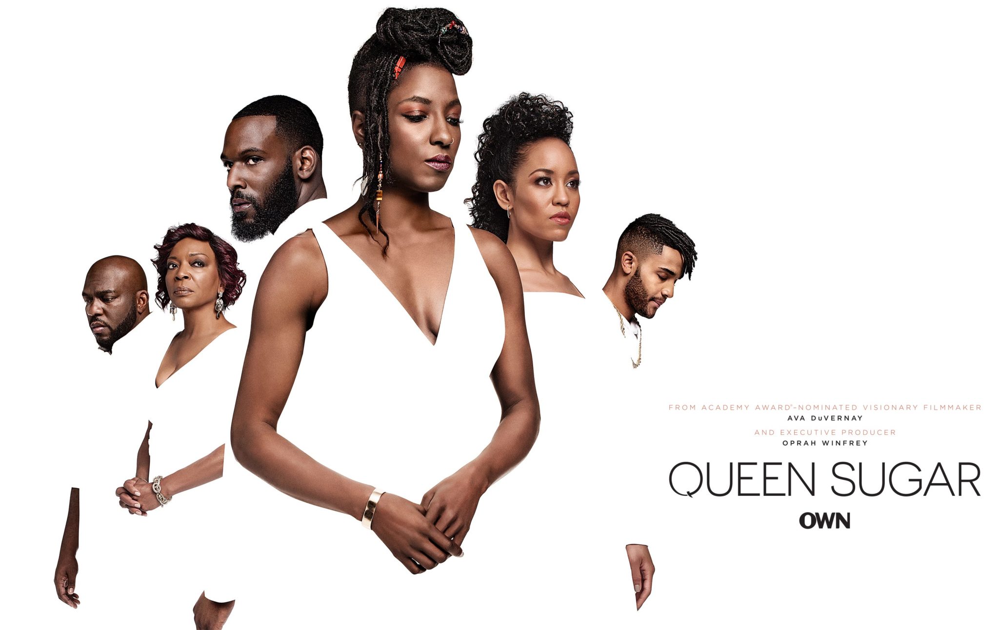 Queen Sugar Complete Seasons 2, 3 and 4 (2019) on DVD - iOffer Movies