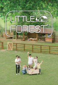 Little Forest (2019) DVD