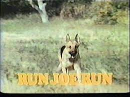 Run, Joe, Run 1974 (DVD)