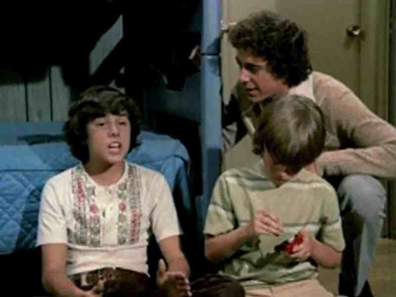 The Brady Bunch (1969–1974) 5 Seasons Complete on DVD | iOffer Movies