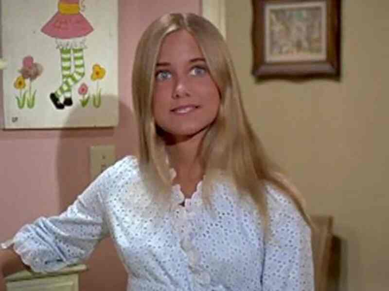 The Brady Bunch (1969–1974) 5 Seasons Complete on DVD | iOffer Movies