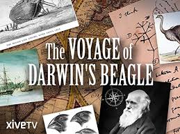 The Voyage of Charles Darwin (1978–1978) Starring Malcolm Stoddard Complete Season 1 on DVD