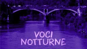 Voci notturne (1995) Starring Massimo Bonetti Complete with English Subtitles on DVD