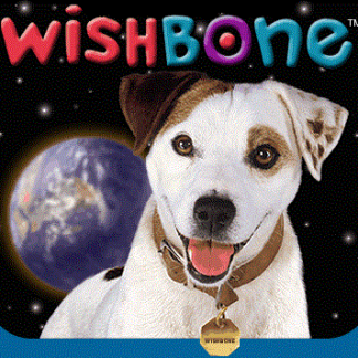 Wishbone (1995) DVD