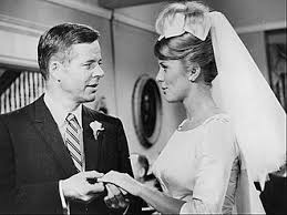 The Farmer's Daughter (1963–1966) 120 Episodes on DVD
